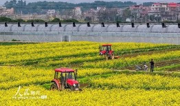 1024国产区,探索国产科技的魅力与未来