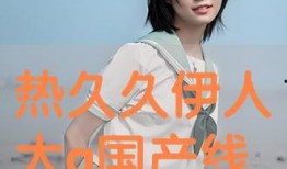 国产伊人视频,揭秘国产影视行业的魅力与风采