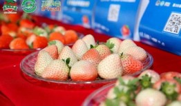 草莓国产在线,品味本土鲜甜，共筑绿色食尚