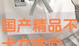 调教国产,探索新时代人才培养的实践与创新