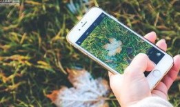 手机看片日韩国产