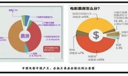 国产综合片,多元文化融合下的视听盛宴