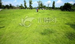 青草青青国产视频,国产视频中的青春记忆与成长轨迹