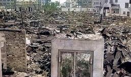 国产破苞第一次,创新科技引领农业发展新篇章