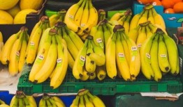 大香蕉国产在线观看,揭秘热门影视资源背后的故事