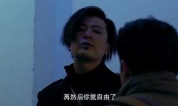 国产玖玖爱,探索中国本土爱情电影的独特魅力