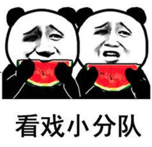 今天吃的娱乐圈的瓜